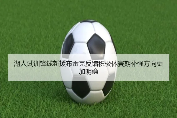 湖人试训锋线新援布雷克反馈积极休赛期补强方向更加明确